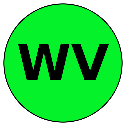 WiseVoyage